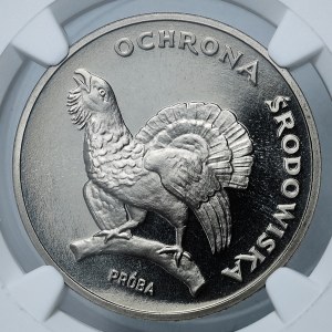 PRÓBA NIKIEL, 100 złotych 1980, Głuszec