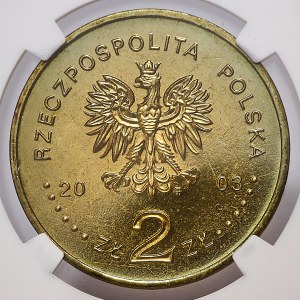 2 Gold 2003, Stanislaw Maczek, ONE