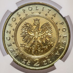 2 Gold 2000, Schloss Wilanów, ONE