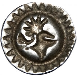 Niemcy, Brandenburgia-Prusy, Fryderyk II, brakteat, Frankfurt
