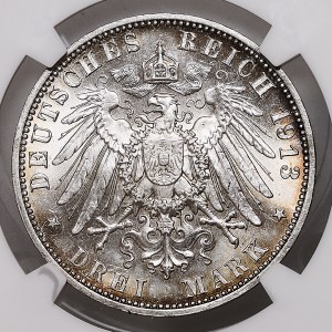Nemecko, Sasko, 3 Marky 1913 E, Bitka pri Lipsku