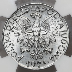 5 Gold 1971, Rybak