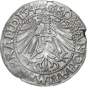 Sliezsko, Jan Kostrzyński, penny 1544, Krosno