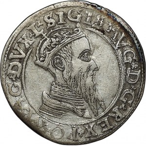 Zygmunt II August, czworak 1565, Wilno, L/LITVA - PIĘKNY