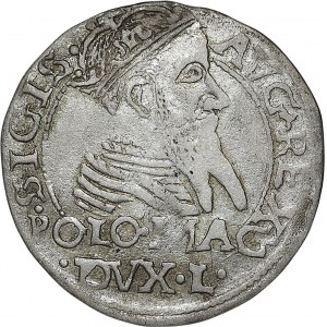 Zygmunt II August, grosz na stopę polską 1567, Tykocin, L/LI