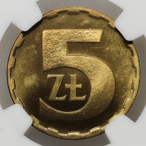 5 Gold 1983, MAX ONE