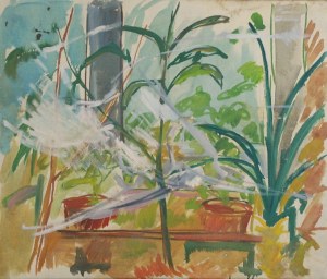Paweł Taranczewski (Ur. 1940), Kwiaty w donicach w oknie