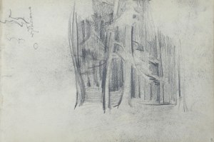 Włodzimierz Tetmajer (1861 - 1923), Wnętrze lasu - szkic, 1907