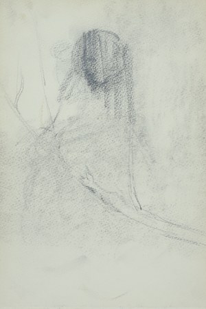Włodzimierz Tetmajer (1861 - 1923), Wnętrze lasu - szkic, 1907