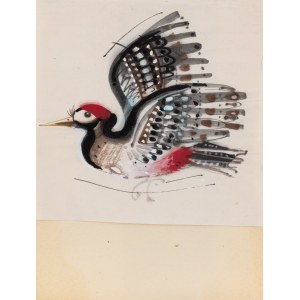 Zbigniew Rychlicki (1922 Orzechówka - 1989 Bratislava), Woodpecker, illustration