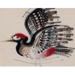 Zbigniew Rychlicki (1922 Orzechówka - 1989 Bratislava), Woodpecker, illustration