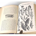 OCHOROWICZ-MONATOWA- UNIWERSALNA KSIĄŻKA KUCHARSKA Ilustracje i kolorowe tablice