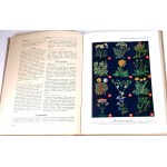 CULTURE AND HOME LIFE 1-2 illustrated guide 1938