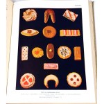 CULTURE AND HOME LIFE 1-2 illustrated guide 1938