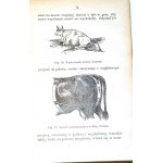 ROHLWES - NAUKA LECZENIA ZWIERZT DOMOWE with 66 woodcuts in the text. Warsaw 1893