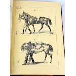 FILLIS - ZASADY UJEŻDŻANIA I JAZDY KONNEJ ilustracje