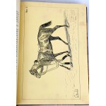 FILLIS - ZASADY UJEŻDŻANIA I JAZDY KONNEJ ilustracje