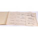 RYCHTER - WATER WORKS 1884/5