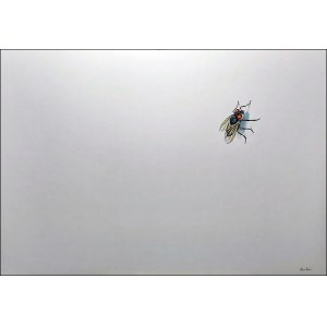 Tomasz Koper, Fly on canvas from the series In-Sections, 2024