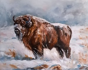 Andżelika Kucharska, Wisent, 2024