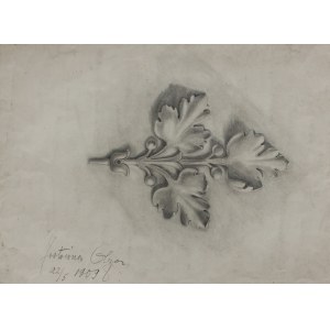 Olga Jost, Skizze eines dekorativen Ornaments
