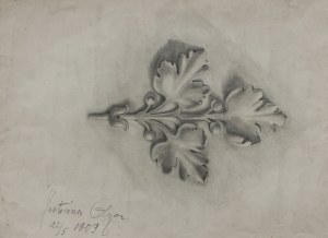 Olga Jost, Szkic dekoracyjnego ornamentu