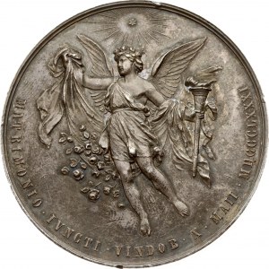 Austria Medal 1881 Wedding