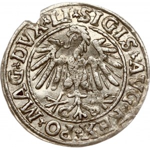 Lithuania Polgrosz 1547 Vilnius