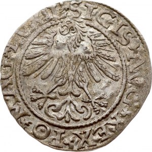 Lithuania Polgrosz 1561 Vilnius