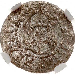 Poland Szelag 1616 Riga (R) NGC MS 62