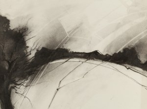 Adam Myjak (ur. 1947, Stary Sącz), 