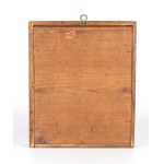Tortoiseshell and coral case