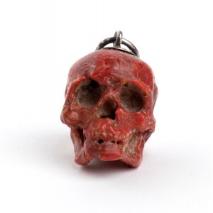 Skull shaped coral