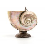 A silver-mounted Nautilus cup