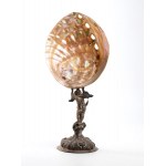 Haliotis shell on solid silver base