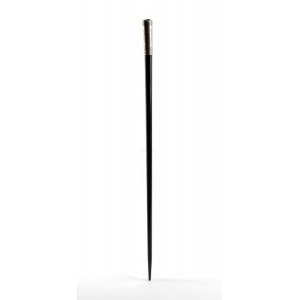 English conductor's baton