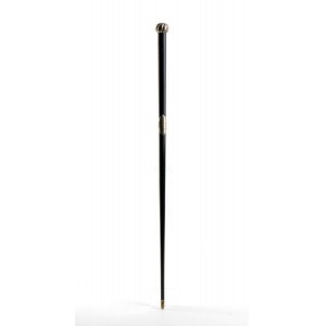 English conductor's baton