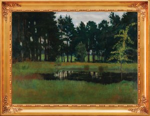 Stanisław DYBOWSKI, STAW