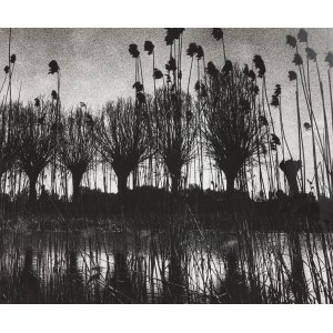 Edward HARTWIG