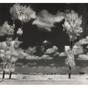 Edward HARTWIG