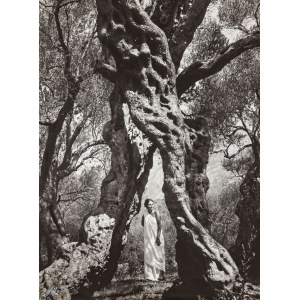 Edward HARTWIG
