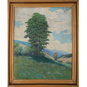 Antoni PROCAJŁOWICZ (1876-1949), Widok na dolinę (1943)