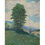 Antoni PROCAJŁOWICZ (1876-1949), Widok na dolinę (1943)