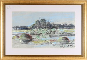 Wiktor ZIN (1925-2007), 