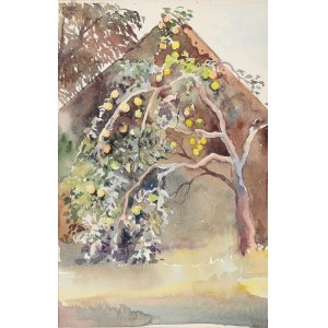 Wiktor ZIN (1925-2007), Owocująca jabłoń (1974)