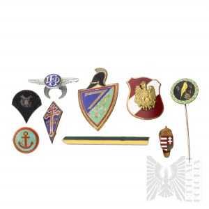 Militaria of the World - Austro-Hungarian/Austria/France/America/Germany Badge Set and others.