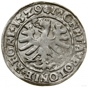 Grosz, 1529, Kraków; MONETA POLONIE REGNI w legendzie r...