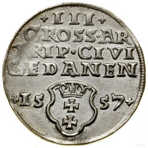 Trojak, 1557, Gdansk ; avers sans bordure, buste du roi ...