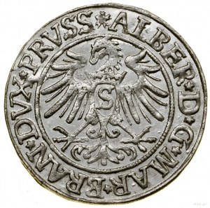 Penny, 1535, Königsberg; tip of reverse legend PRVSS;...