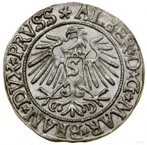 Grosz, 1537, Königsberg; tip of reverse legend PRVSS;...
